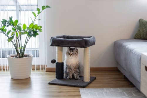 Rosi macskapihenő - antracit, 40x40x48 cm