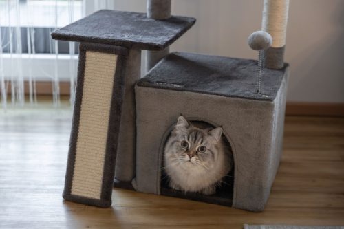 Rosalie macskapihenő - antracit/szürke, 42x34x76 cm