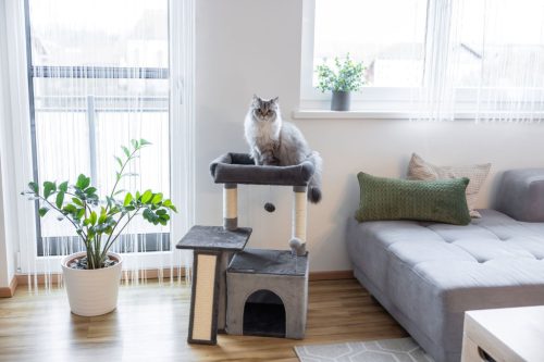 Rosalie macskapihenő - antracit/szürke, 42x34x76 cm