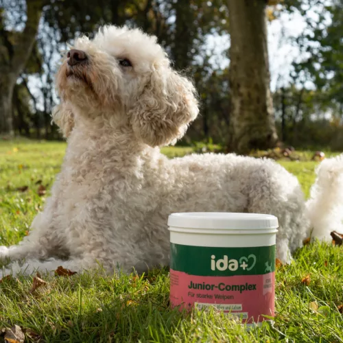 IdaPlus Junior Complex táplálékkiegészítő kutyáknak - 400 g