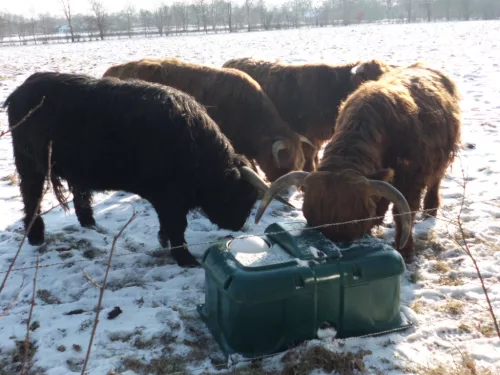 JFC ID80 kétlabdás hőszigetelt itató - 80 literes