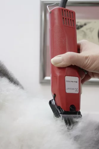 Aesculap Favorita SPEED kisállat nyírógép - 230 Volt (GT114)