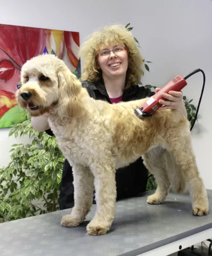 Aesculap Favorita SPEED kisállat nyírógép - 230 Volt (GT114)