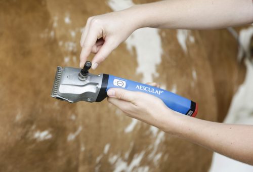 Precíziós beállító segédeszköz Aesculap Torqui Econom nyírógéphez