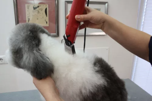 Aesculap Favorita Clip-on fésű - 25 mm, nyírógéphez