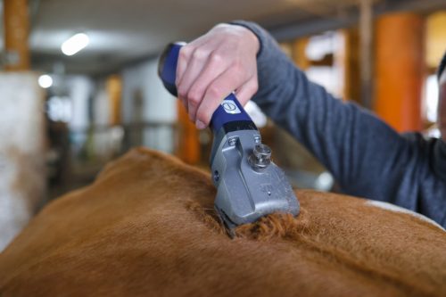 Bonum Pro szarvasmarha nyírógép - 2 akkus, kék