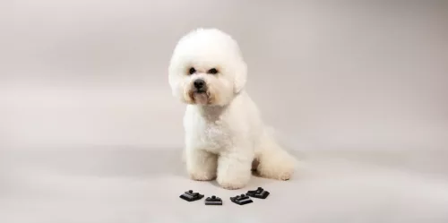 Aesculap Favorita nyírófej - 3.0 mm DLC borítással