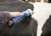 Aesculap Econom CL akkumulátoros nyírógép - 1 akkumulátorral