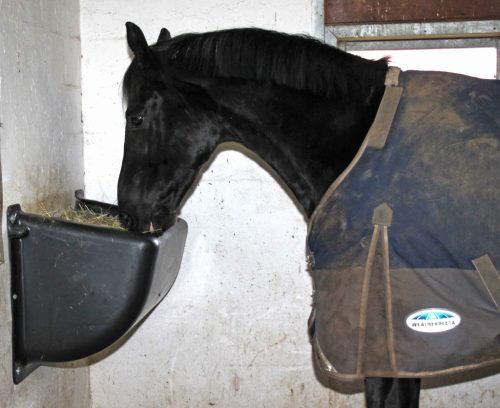 Széna etető lovaknak - 140 literes