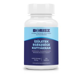   Borisz Izületek egészsége kutyáknak - vitamin (120 db/doboz)
