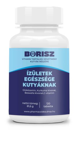 Borisz Izületek egészsége kutyáknak - vitamin (120 db/doboz)