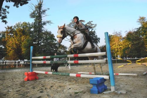 Kitörő Cavaletti block XX - 61 x 39 x 23, világoskék