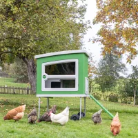 Díszbaromfi házak és ketrecek