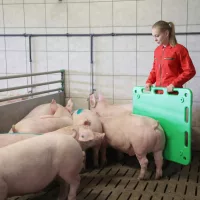 Egyéb felszerelések