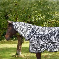 Rovarok elleni védekezés lovaknál