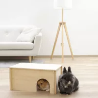 Játékok és búvóhelyek kisemlősöknek