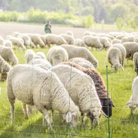 Juh és kecske tartástechnológiai eszközök