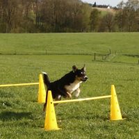 Kiképző eszközök