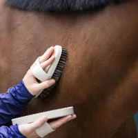 Kaparók, vakarók lovaknak