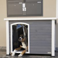 Kutyaház, kutyaajtó