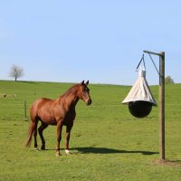 Rovarok és rágcsálók elleni védekezés