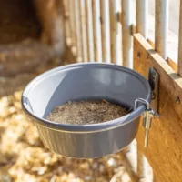 Vödrök