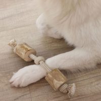 Labda, kötél kutyáknak