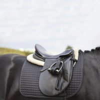 Nyergek és tartozékai