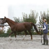 Futószárazás eszközei, kiegészítői