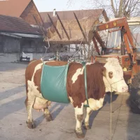 Egyéb felszerelések
