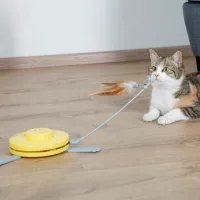 Játékpálcikák macskáknak