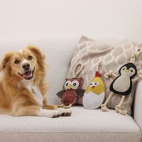 Rágójáték kutyáknak