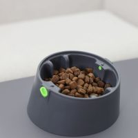 Kutyatápok és eledelek