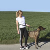 Textil pórázok kutyáknak