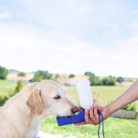 Etetők, itatók utazáshoz