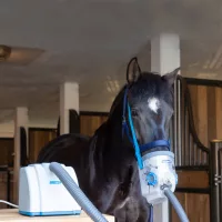 Egyéb eszközök lovaknak