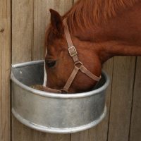 Fémből készült etetők lovaknak