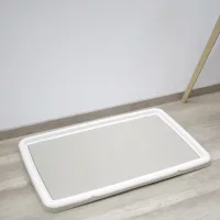 Szobatisztaság kutyáknál
