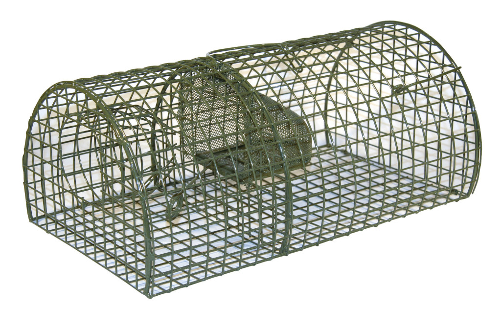 Alive MultiRat patkány élvefogó - 40 cm