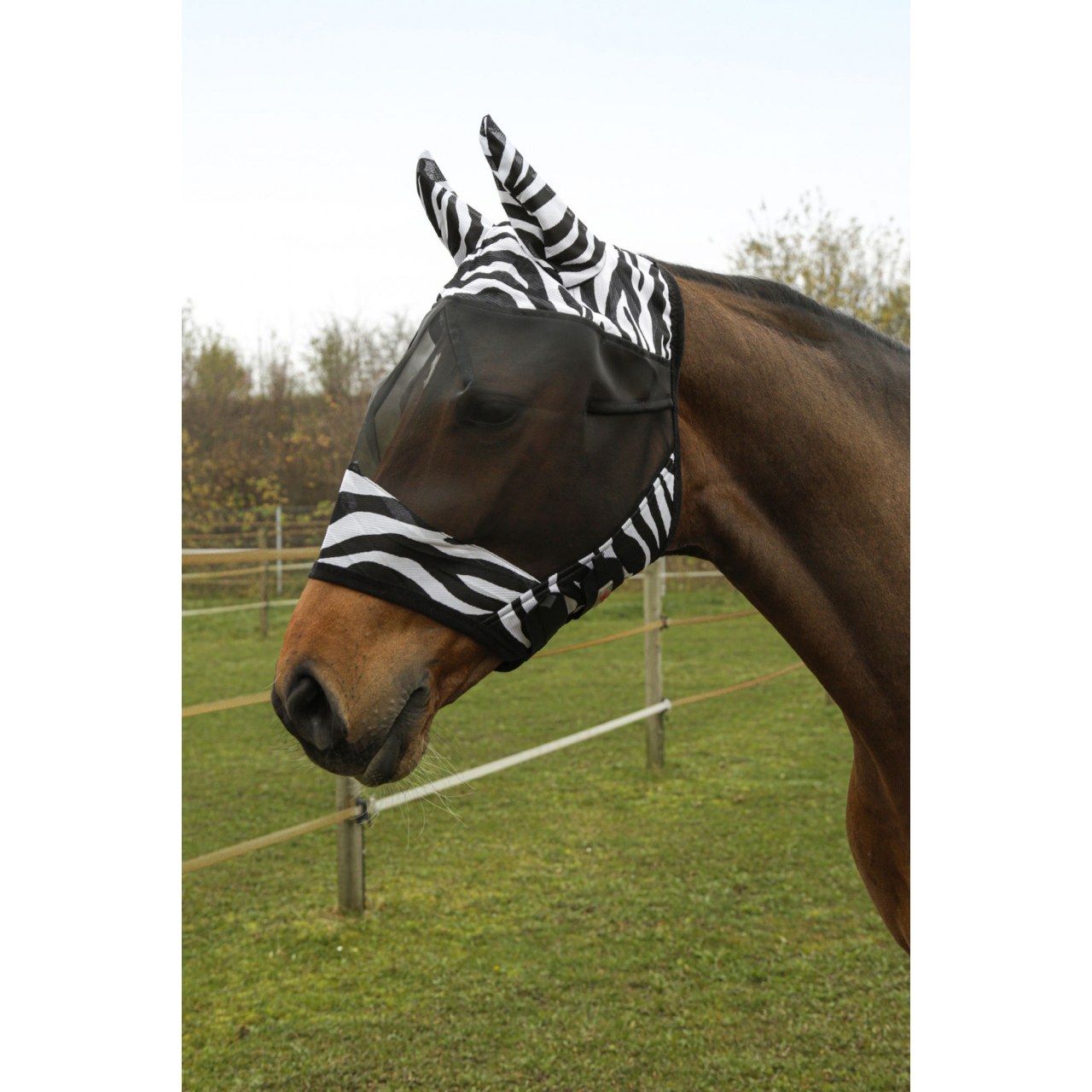 Covalliero Zebra légymaszk fülvédővel