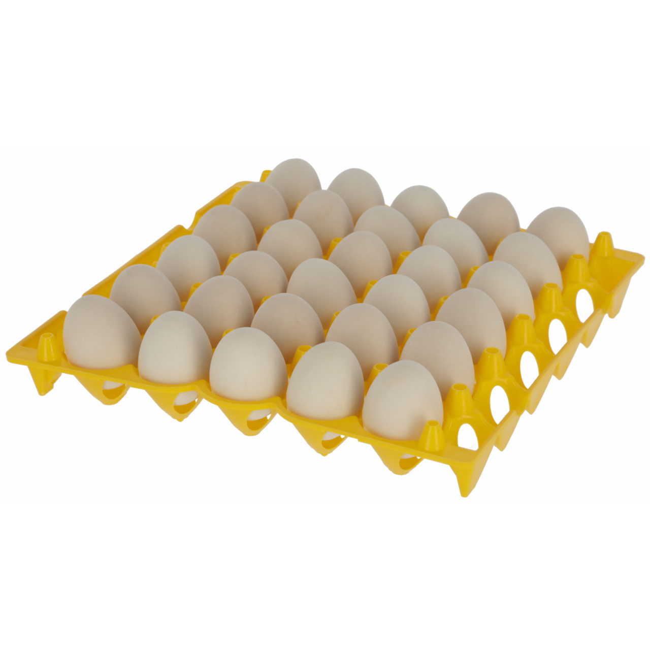 Műanyag tojástároló - 30 db tojáshoz