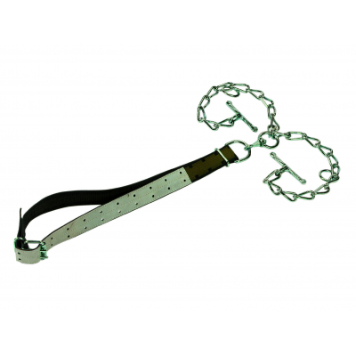 Növendék bika kikötő nyakpánt kettős lánccal, forgóval és D-gyűrűvel - 150 x 5 cm, 7 mm, csúcsminőség