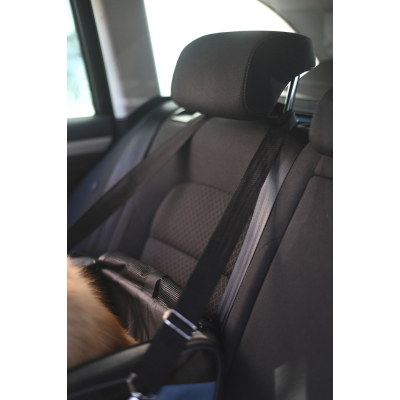 Vacation autós utazótáska kutyáknak - szürke/kék, 44 x 35 x 30 cm