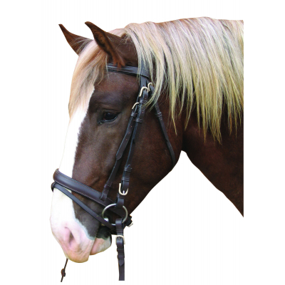 Covalliero Standard kantár hidegvérű lovakra