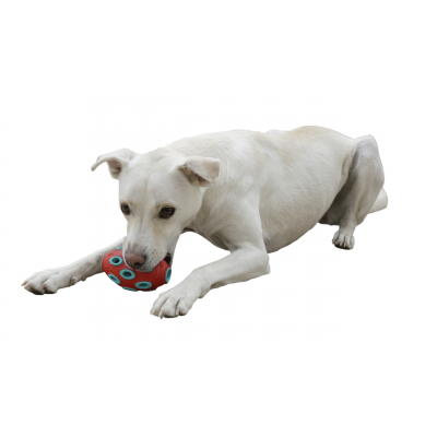 ToyFastic tölthető rugby játék kutyáknak - piros/kék, 15 x 6,5 cm