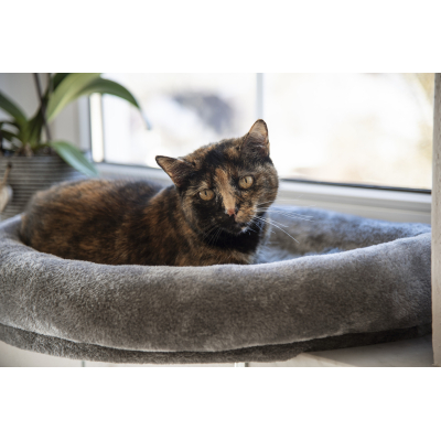 Ablakpárkányra tehető macskaágy - szürke, 55 x 35 cm