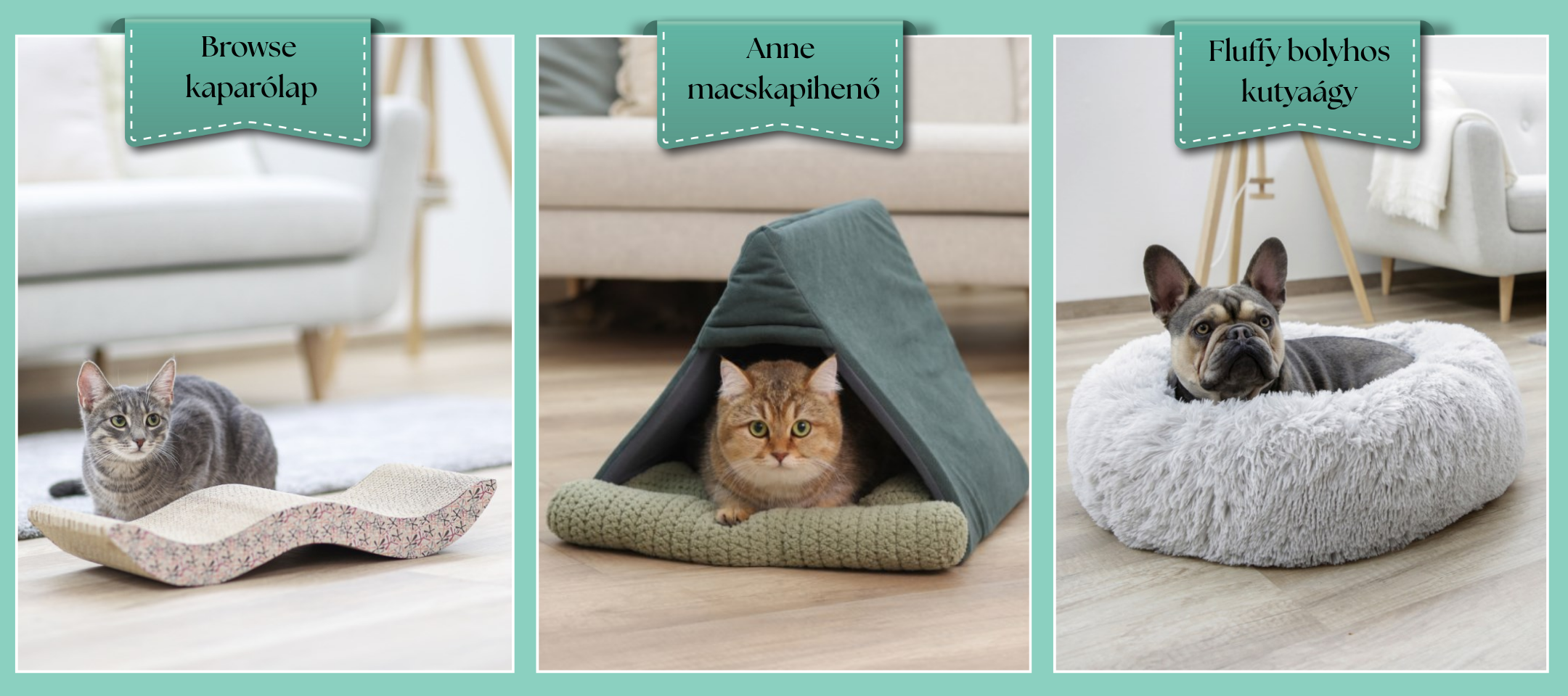 Browse kaparólap, Anne macskapihenő és Fluffy bolyhos kutyaágy